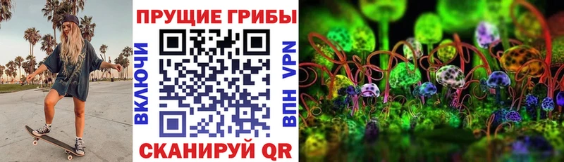 Купить Сердобск Галлюциногенные грибы мицелий
